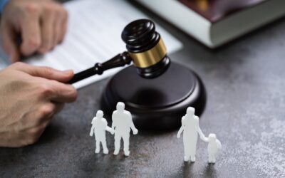 How Do Courts Decide Paternity in Disputed Cases?